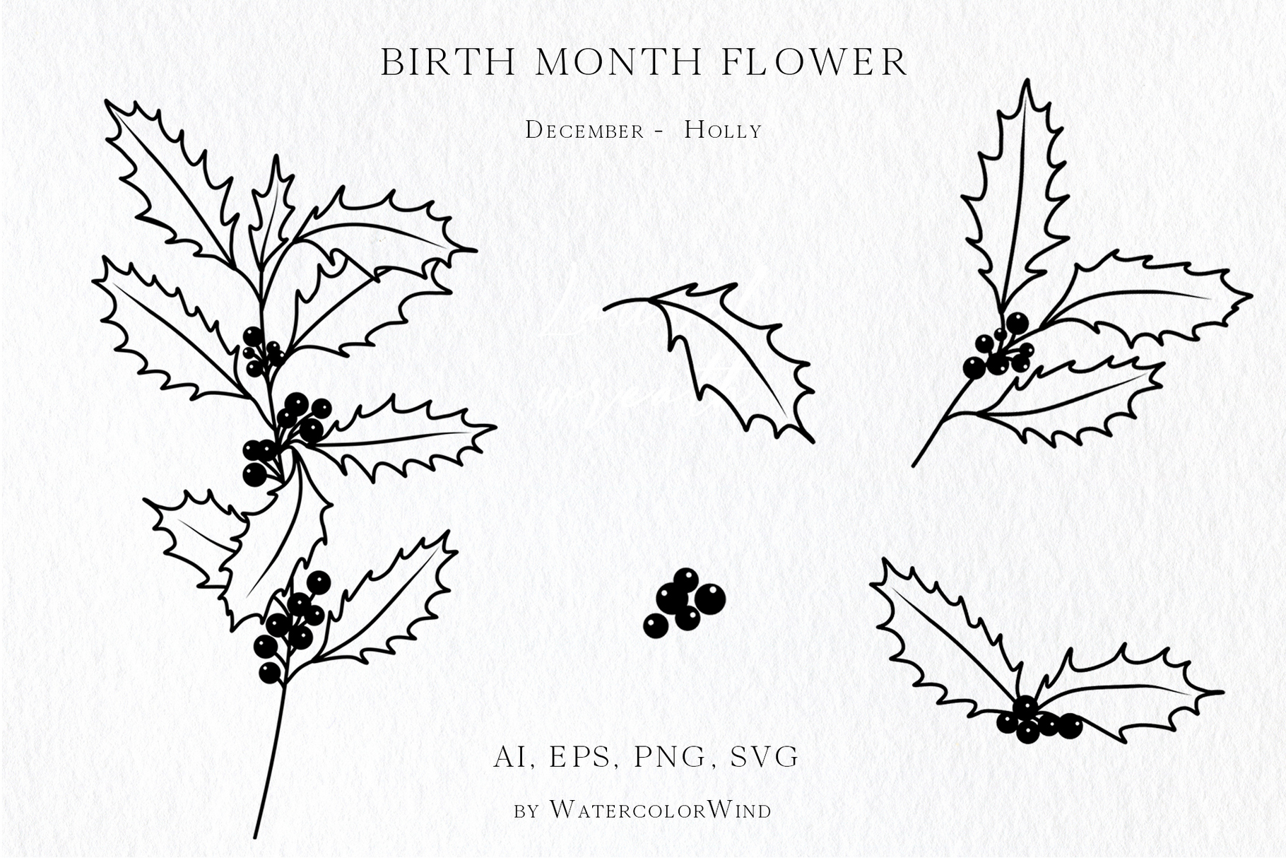 25 Birth Month Flowers Bundle Vector Illustrations 30 25 Birth Month Flowers Bundle Vector Illustrations - Image 30