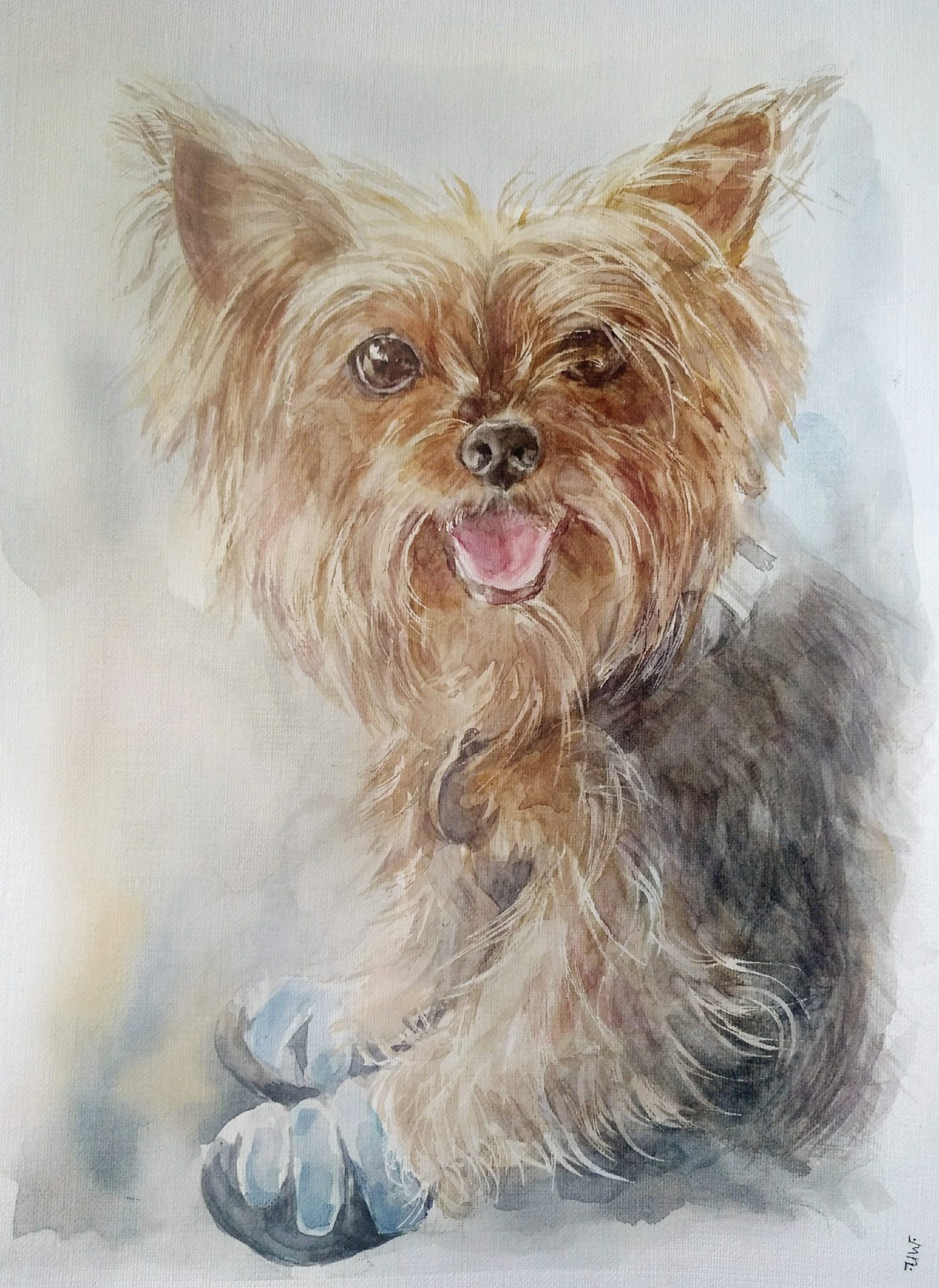 Yorkshire Terrier Artist Needle Felted Dog Sculpture Dog Portrait