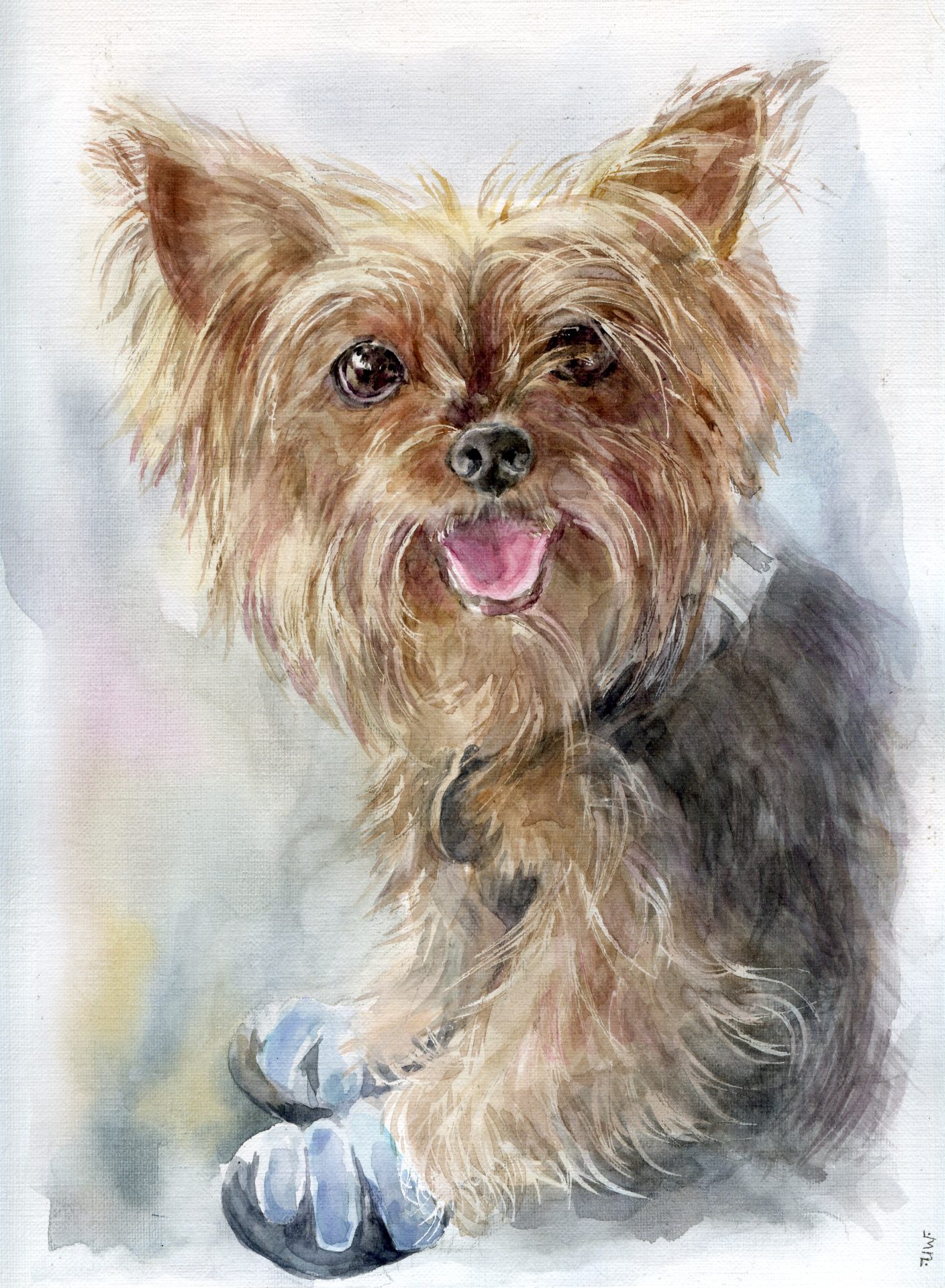 Yorkshire Terrier Artist Needle Felted Dog Sculpture Dog 