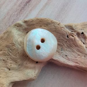 Beach find genuine vintage shell button U9