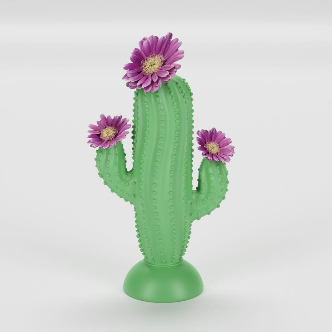 cactus vase 3