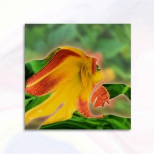 Lady digital art