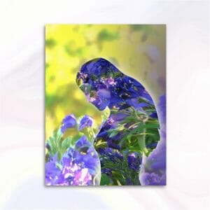 Lady digital art