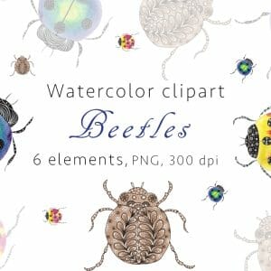 Beetles Watercolor Clipart, PNG