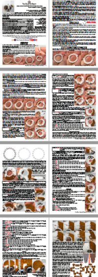 Beaded Dog Pattern - Cute Seed Bead Zodiac Animals Step by Step Tutorial 3 Beaded Dog Pattern - Cute Seed Bead Zodiac Animals Step by Step Tutorial - Image 3