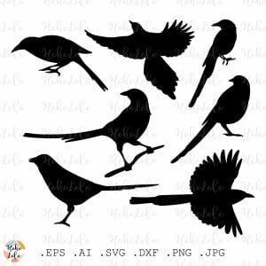 Magpie Svg Silhouette Bird