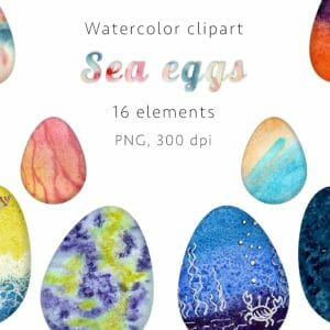 Sea eggs Watercolor clipart, PNG