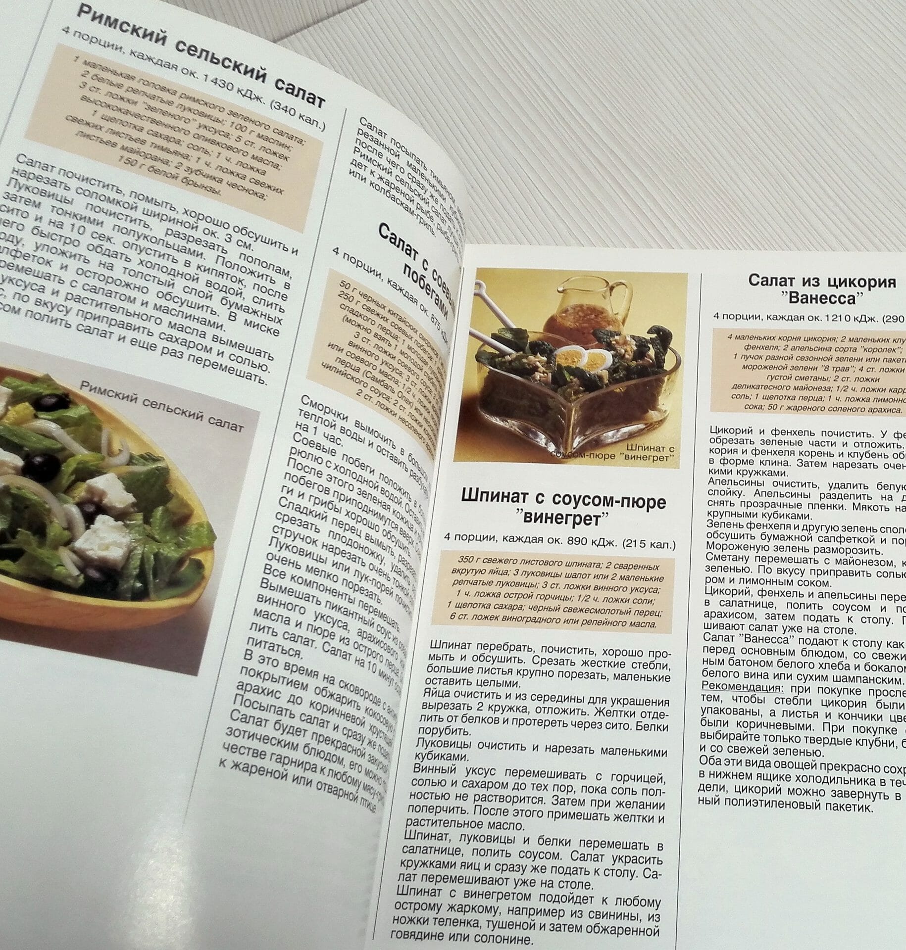 soviet cookbook