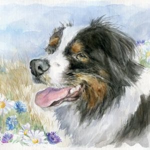dog in a filed of flowers and wheat
