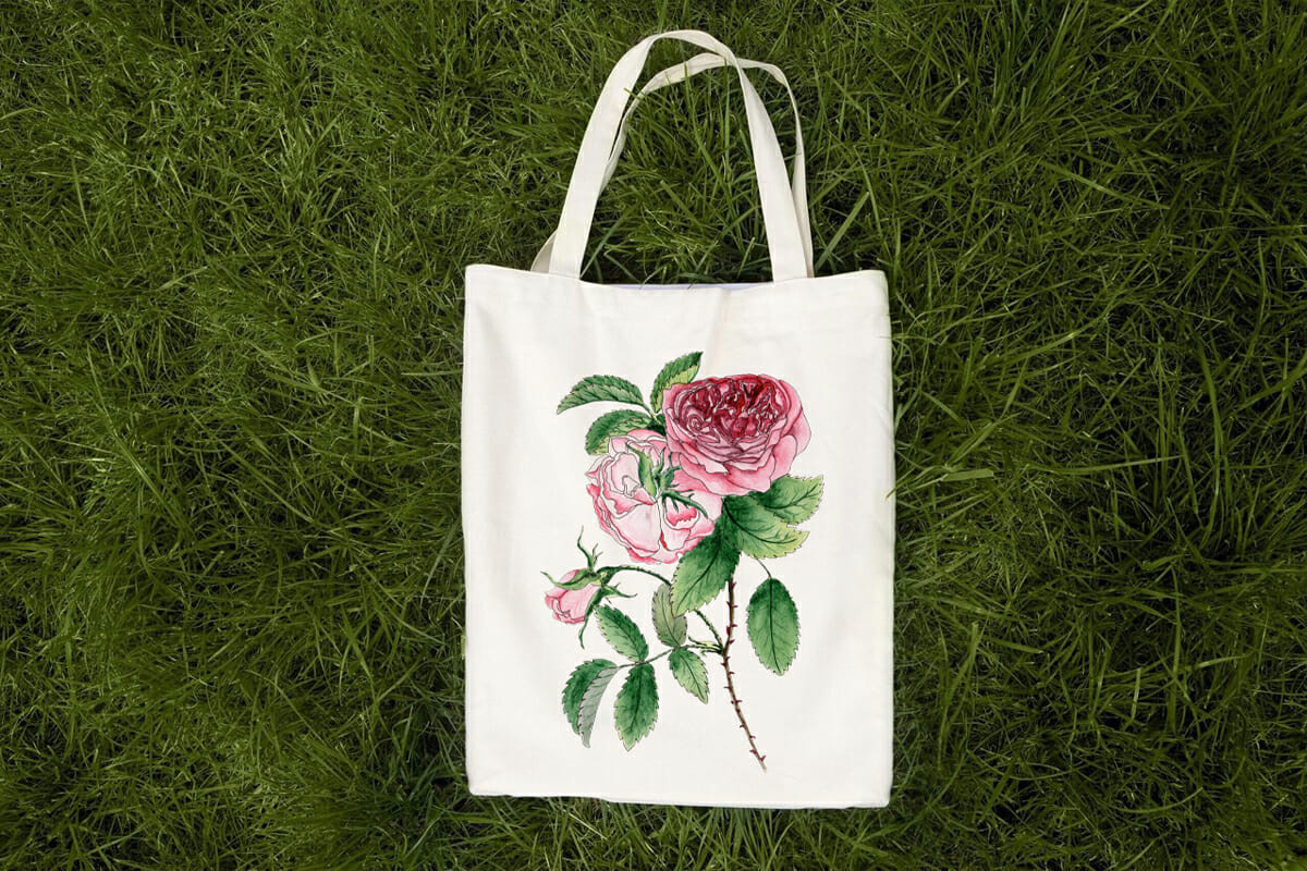 Watercolor sublimation Pink roses PNG, JPEG 6 Watercolor sublimation Pink roses PNG, JPEG - Image 6