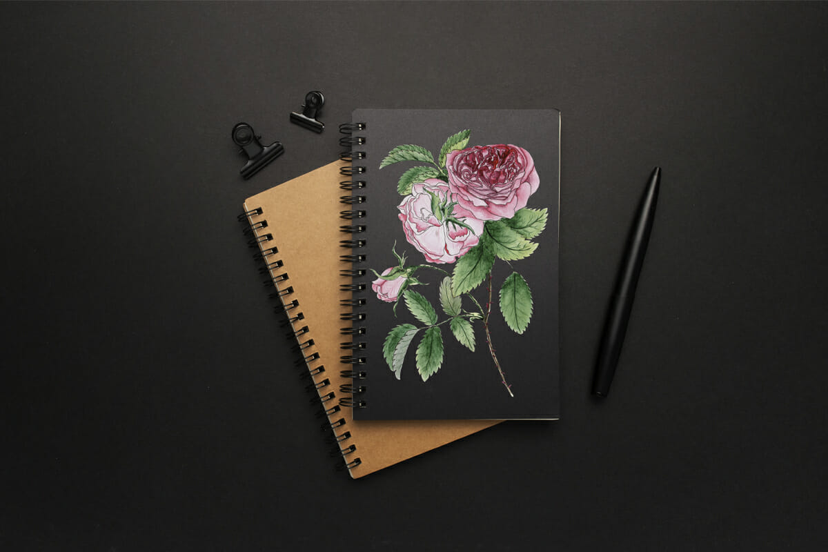 Watercolor sublimation Pink roses PNG, JPEG 5 Watercolor sublimation Pink roses PNG, JPEG - Image 5