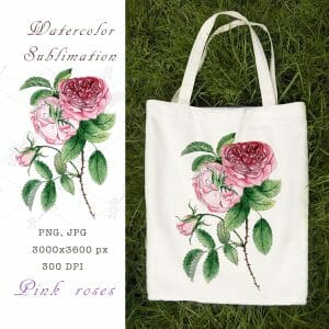 Watercolor sublimation Pink roses PNG, JPEG