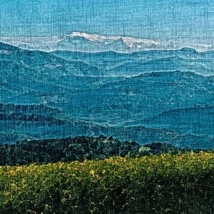 Painting - " ON THE HILL '' .