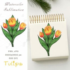 Watercolor sublimation Tulips PNG, JPEG