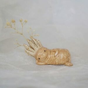 Chilling Mandrake