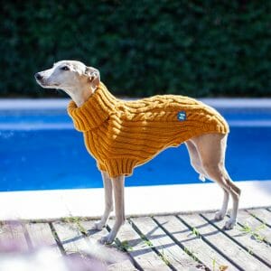 knitted_dog_sweater