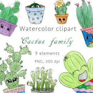 Cactus family Watercolor clipart, PNG