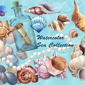 Watercolor nautical clipart. Seashells collection