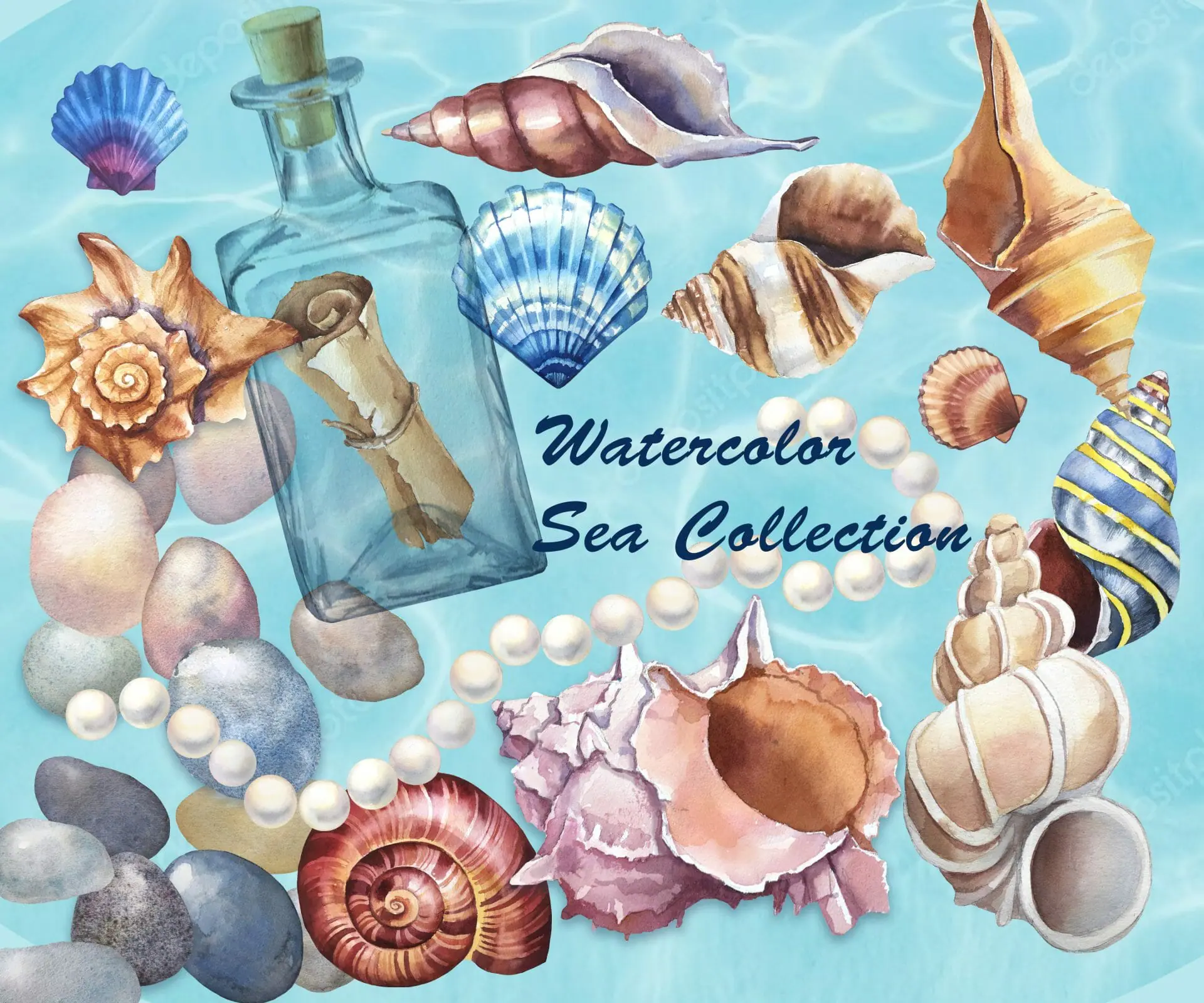 Watercolor nautical clipart. Seashells collection 1 Watercolor nautical clipart. Seashells collection