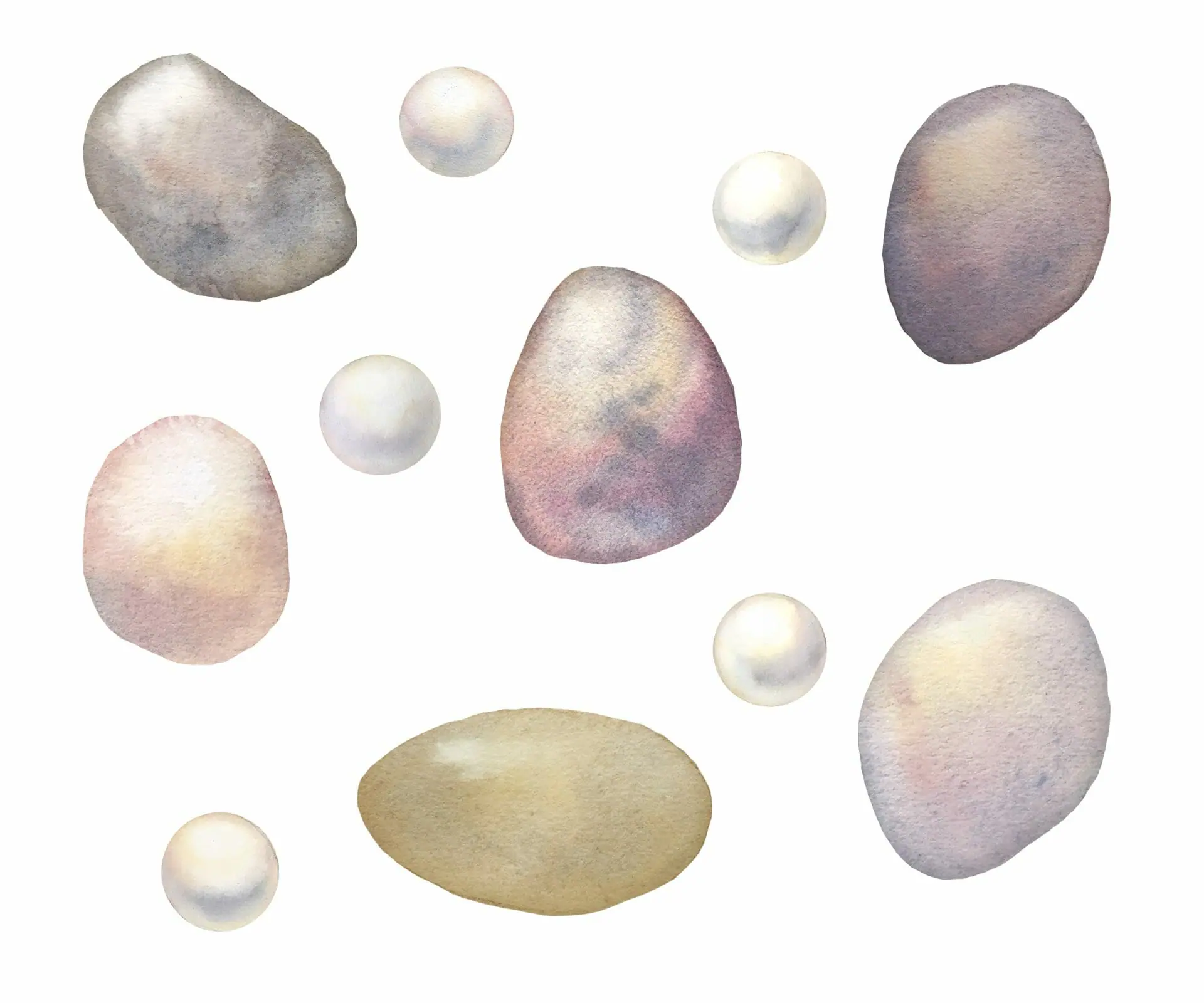 Watercolor nautical clipart. Seashells collection 5 Watercolor nautical clipart. Seashells collection - Image 5