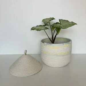 Basket for nursery Small basket with lid 20.5 cm x 21.5 cm