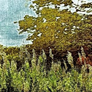 Painting - "At the edge of the forest"