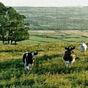 Painting - "Burenkin meadow"