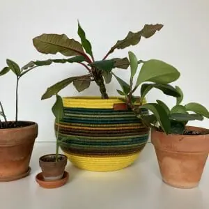Jute yellow green basket Cotton rope basket 18.5 cm x 21 cm