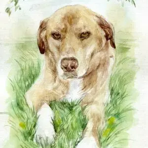 Beautiful Summer Rain Watercolor Painting