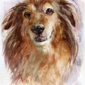 Memorial Pet Portrait Sweet Henry Watercolor Painting