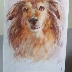 Memorial Pet Portrait Sweet Henry Watercolor Painting