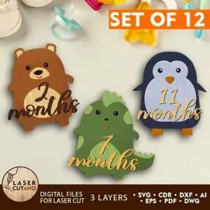 Milestone, Monthly Cards for Baby, Kids, Girl and Boy
