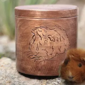 Handmade Marketplace 453 Custom handmade Wood Storage ashes Box
