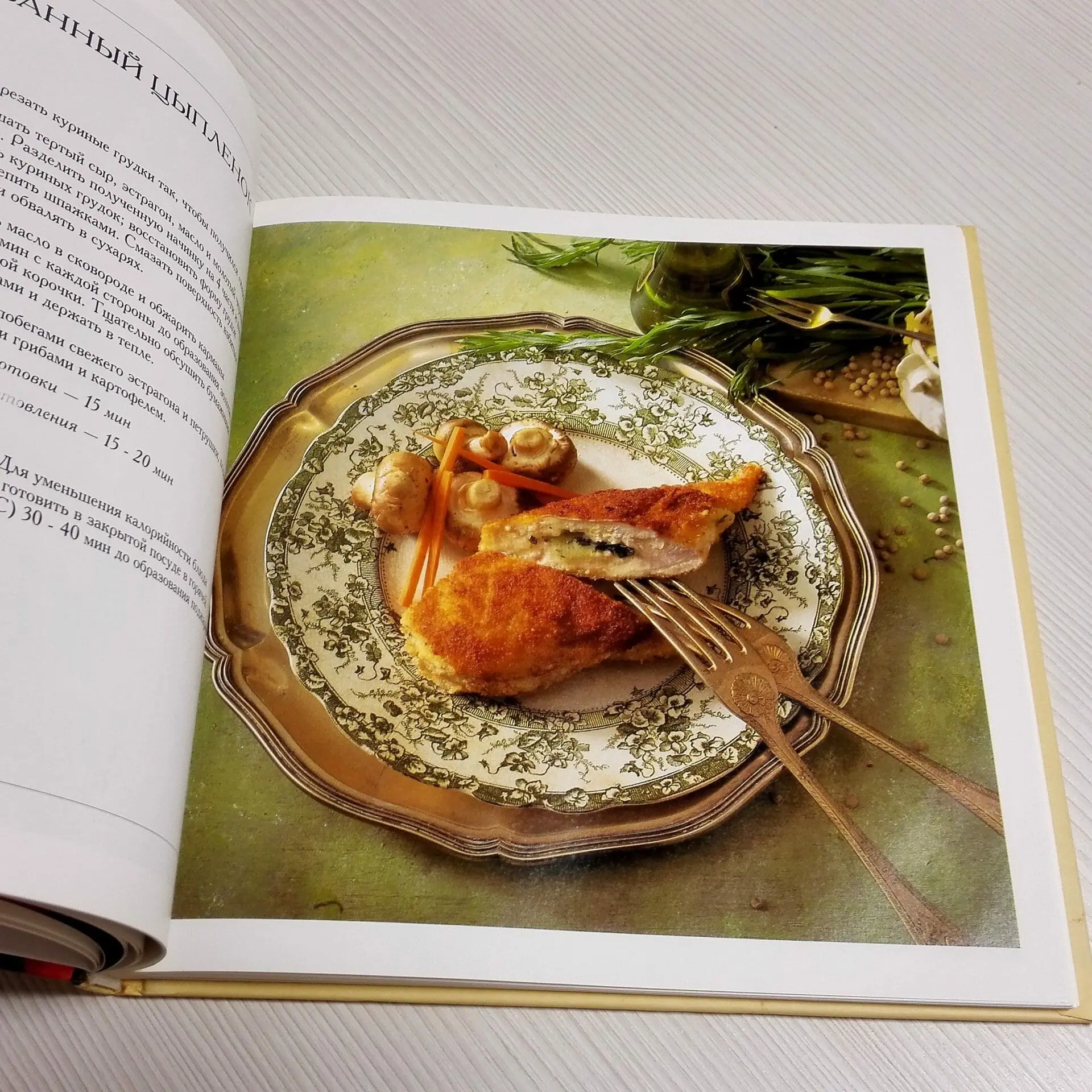 a book about russian cooking.jpg