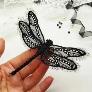 Black Dragonfly
