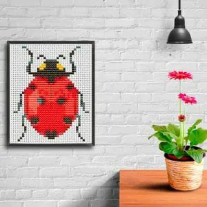 Ladybug in a frame