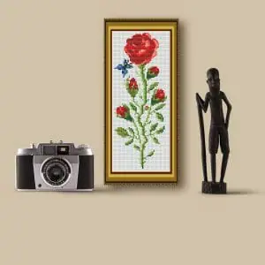 Red Rose