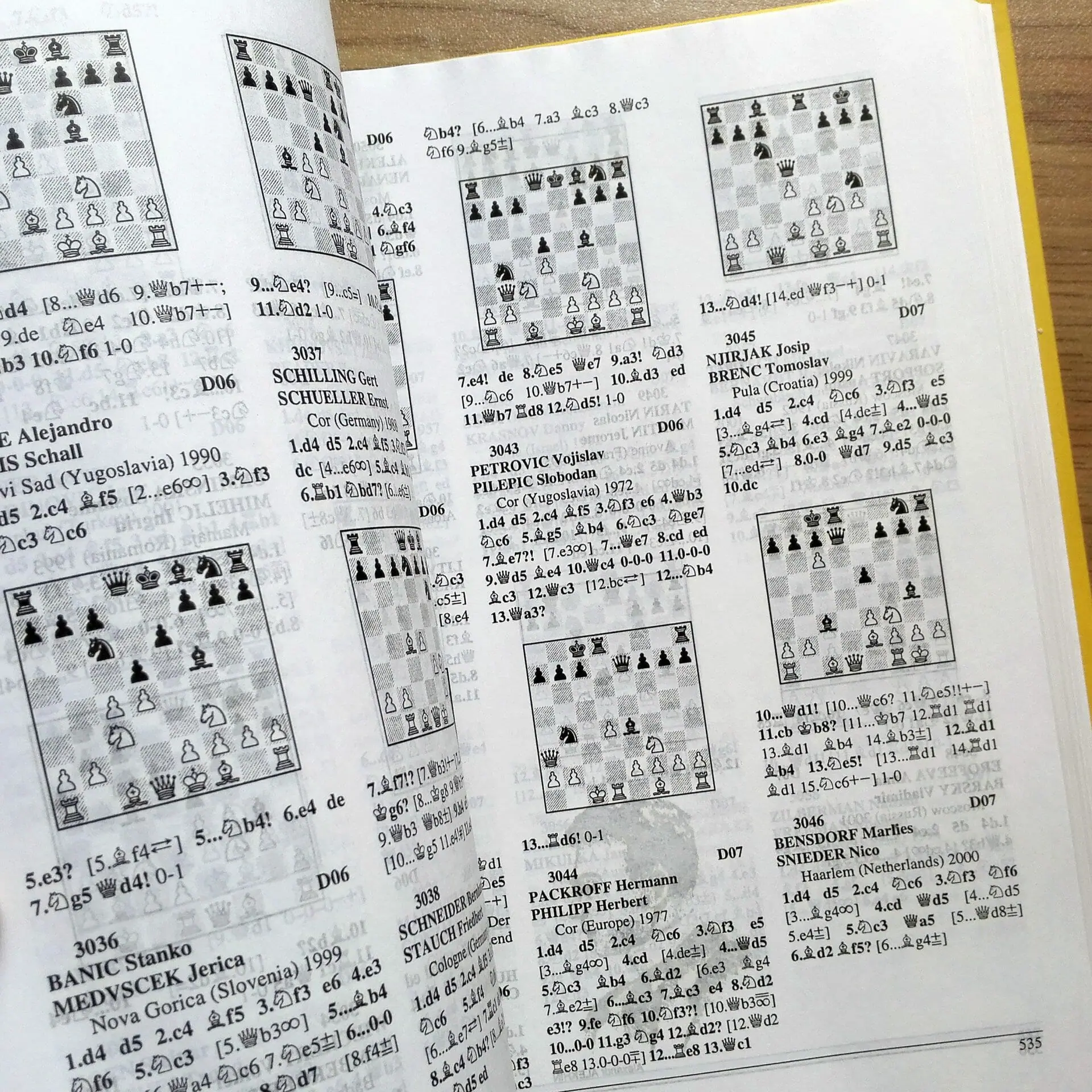 chess dictionary.jpg