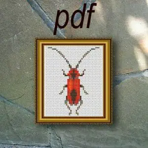 Barbel Beetle Cross stitch pdf pattern