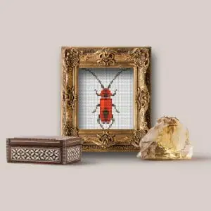 Insect in a frame