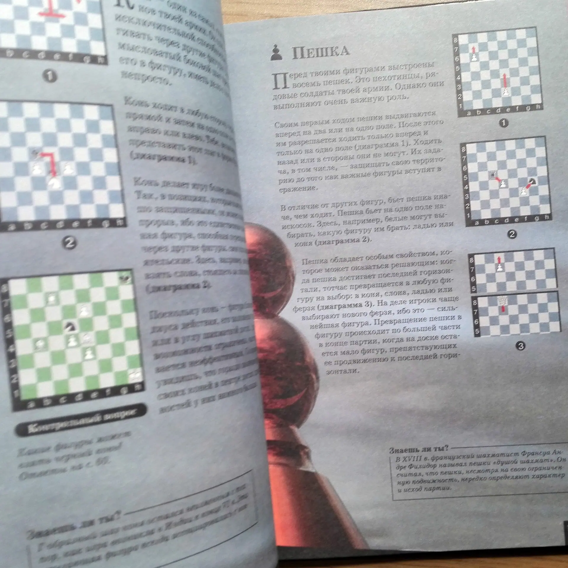 Children's Chess Encyclopedia. From the First Move to Victory 5 Children's Chess Encyclopedia. From the First Move to Victory - Image 5