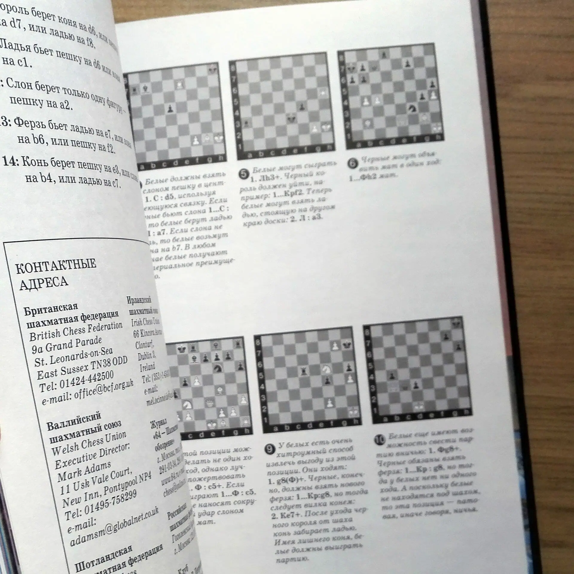 Children's Chess Encyclopedia. From the First Move to Victory 7 Children's Chess Encyclopedia. From the First Move to Victory - Image 7