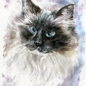 Sweet Boots Memorial Portrait Watercolor Painting (Sold)