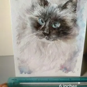 Sweet Boots Memorial Portrait Watercolor Painting (Sold)