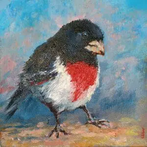 red breasted little bird