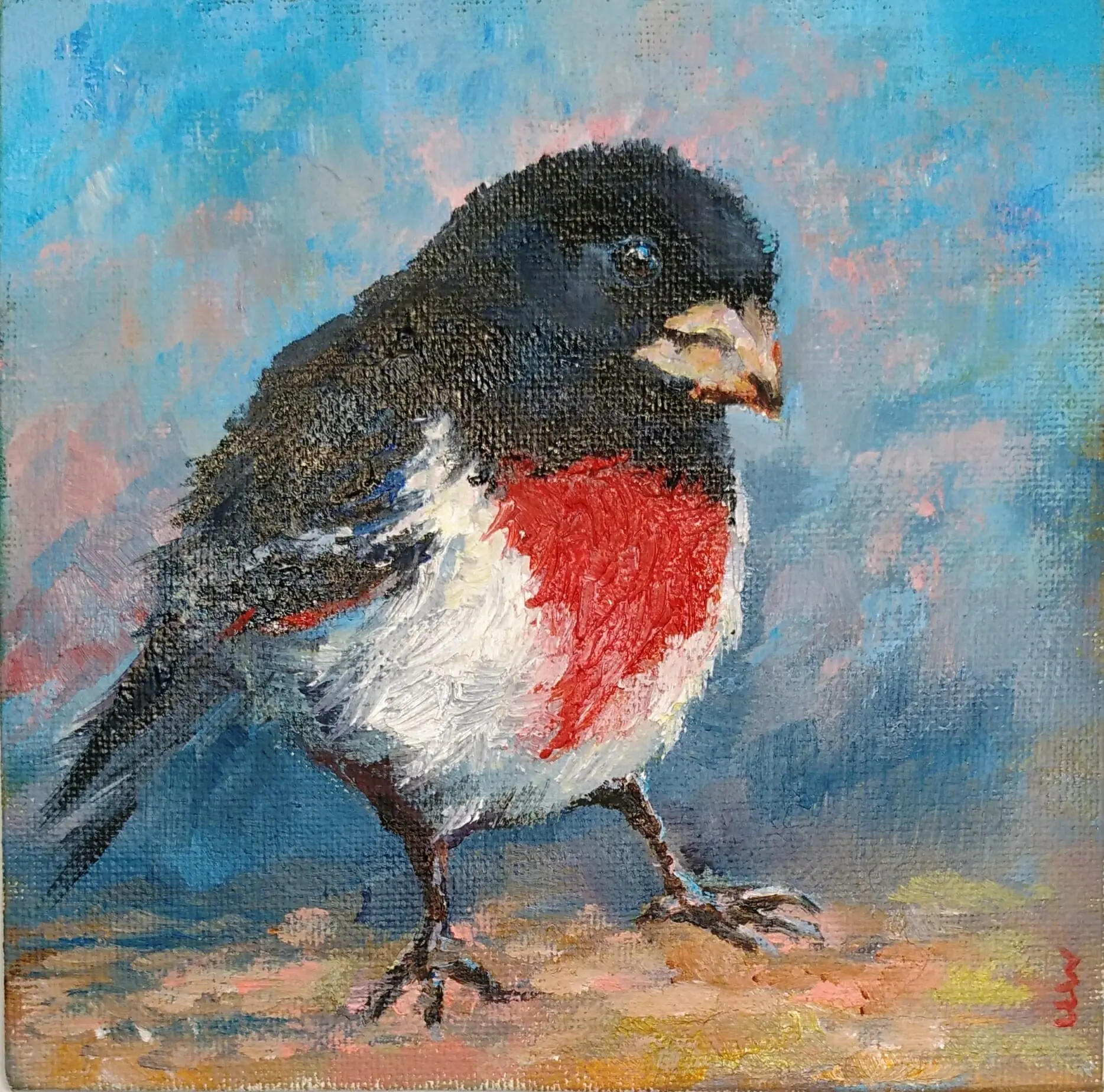 Rose-Breasted Grosbeak Original Oil Painting Small Art