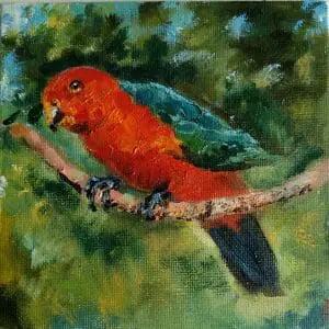 red green parrot on a branch