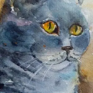 British cat painting 12*16″ watercolor pet art Yalozik (Copy)