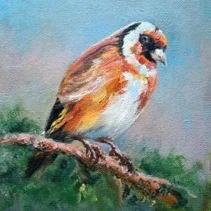 orange bird sitting on a branch