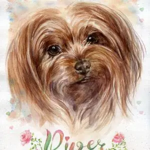 sweet yorkie face with the name and flowers